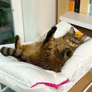 Meet your Posher, Chloe